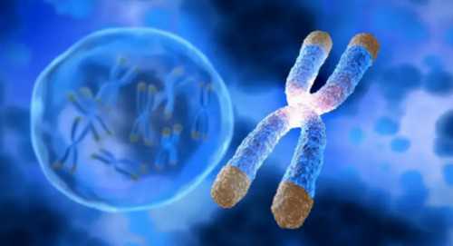 备孕二胎必备知识：遗传疾病风险、遗传咨询和维持良好夫妻关系与性生活的关键