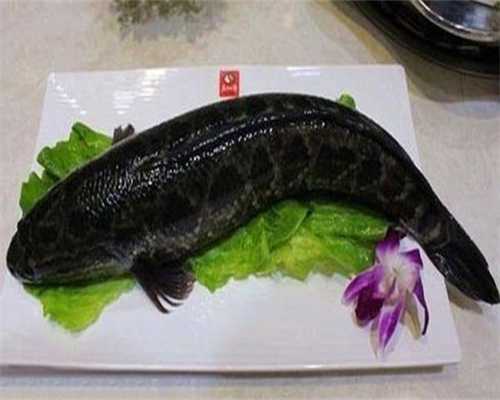 备孕吃红枣好吗，备孕吃红枣好吗