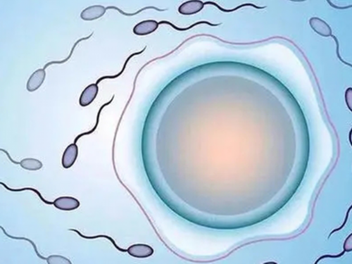 孕前和怀孕初期B超检查必读指南：异常结果、好处、适合人群和常见问题解决方案！