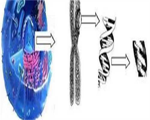 供卵自怀三胎:泰国试管婴儿移植后着床有什么感觉？试管移植后没感觉好还是有感觉好