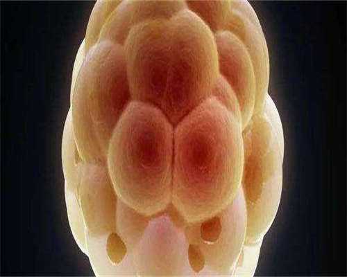 hcg多少是怀孕的标准值？更新时间：2026-08-24