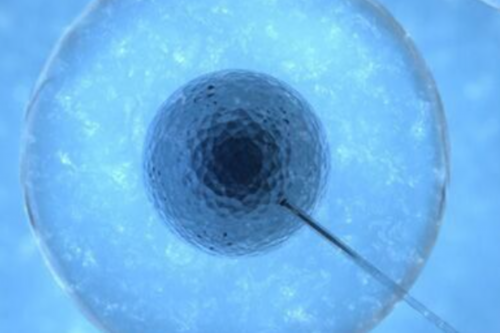 打完绒促性素腹痛？别担心！可能是卵泡破后症状