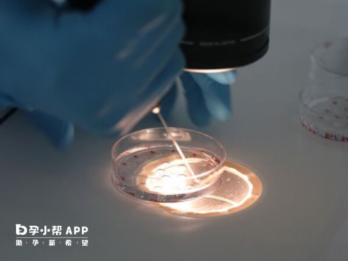 试管供卵助-胚胎移植:移植着床失败的表现