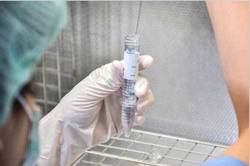 无创dna查出11号染色体异常别慌张!需要多少费用!