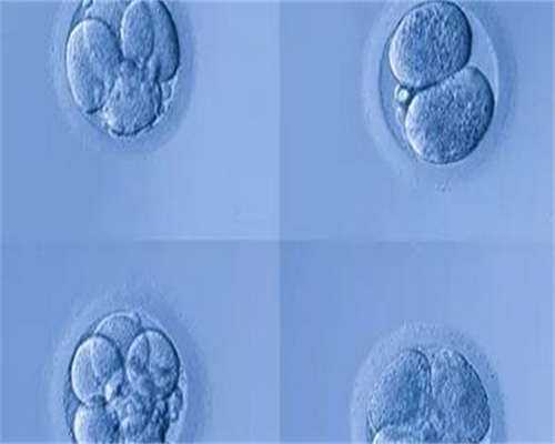 试管婴儿移植后多久着床?附试管移植后着床的反应