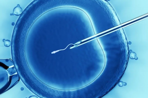 胎儿亲子鉴定怎么做