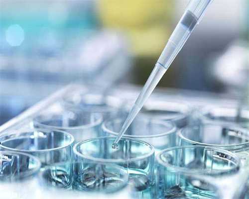 代生公司正规:促排期间卵泡长得慢喝蛋白粉