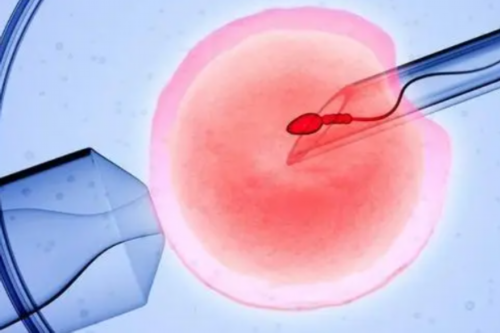 高龄卵巢早衰照样能做试管婴儿吗!年龄大卵巢早衰想怀孕该怎么做!