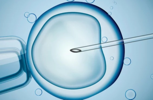 最佳代生网:试管婴儿最全详细流程