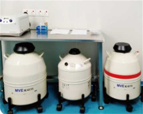 揭秘干细胞移植治疗疾病的四大作用机制