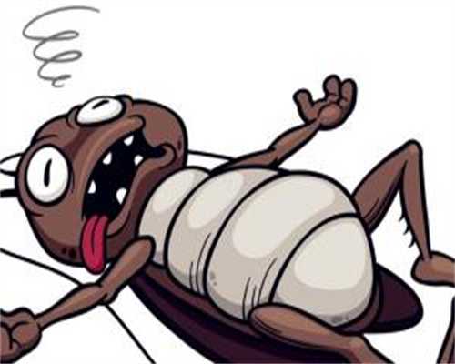 代生公司正规:囊胚形成后多久移植成功率高_试管婴儿一次移植几个胚胎成功率高?