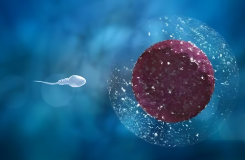 【宫颈浅的坏处】宫颈浅影响怀孕吗？宫颈浅注意事项？