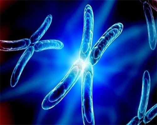 单身女人做试管要什么条件?单身做试管婴儿条件