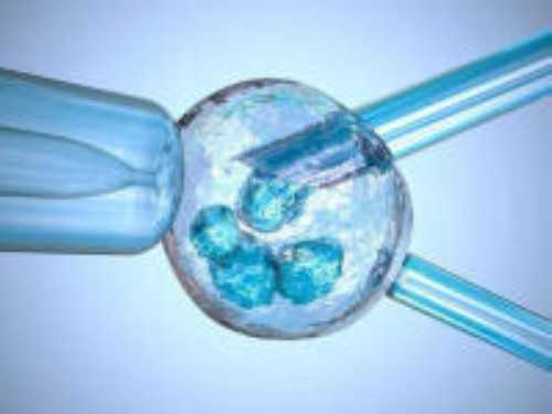 试管婴儿移植后感冒对胚胎有没有影响？