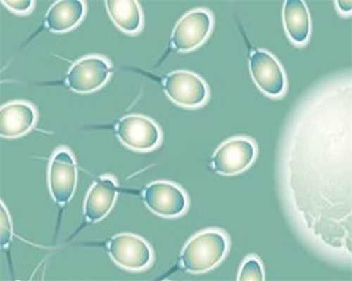 代生公司价格-不孕症的诊断,不孕症的表现