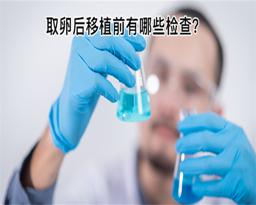 供卵价格高-【纵隔子宫术后试管成功率高吗？聚焦排卵监测与黄体支持的助孕成功率提升技巧】