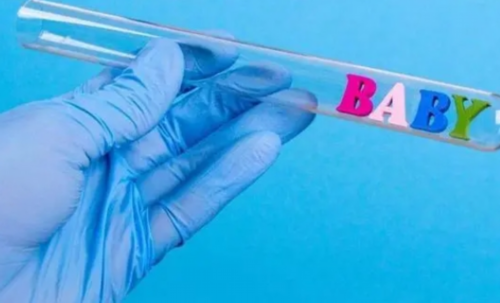 借卵价格-7周B超有孕囊胎心胎芽怎么没看到卵黄囊