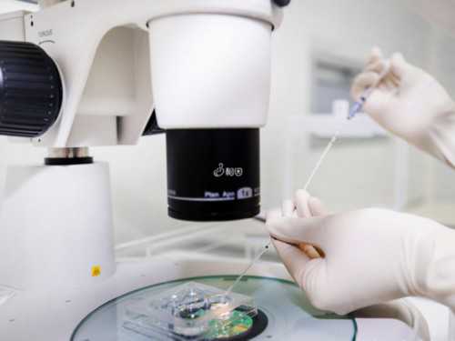 代孕产子医院：试管婴儿移植术后多久着床，试管婴儿移植后多久着床