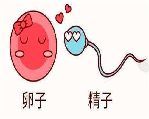 权威助孕医院-弱精症做供精试管要多少钱，弱精症做供精试管的费用参考