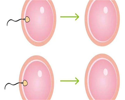 孕妇可以用清凉油和风油精吗