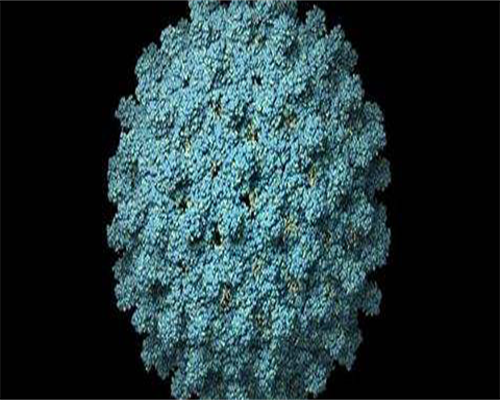 中药治疗卵巢囊肿要多久