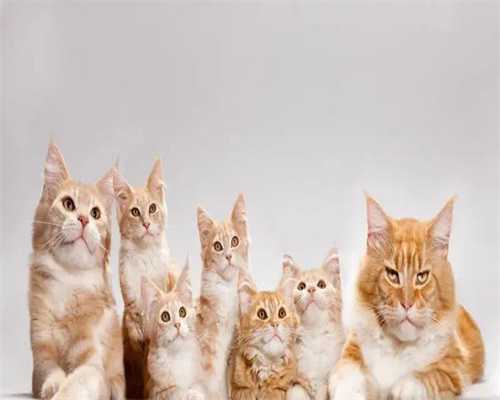 江苏试管婴儿助孕包成功，江苏试管婴儿医院大全