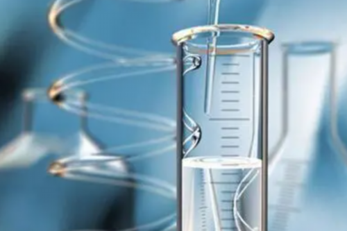 试管移植后可以吃柚子吗