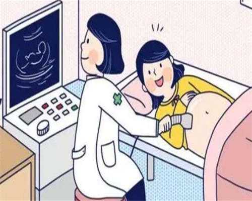 供卵公司:女人为什么喝椰子汁?除了瘦身养颜,还有其他好处吗?