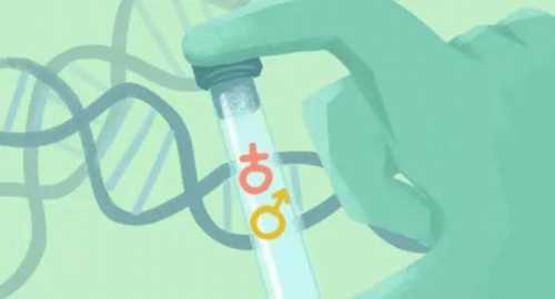 代生孩子服务:宝宝什么阶段可以吃鱼肝油?