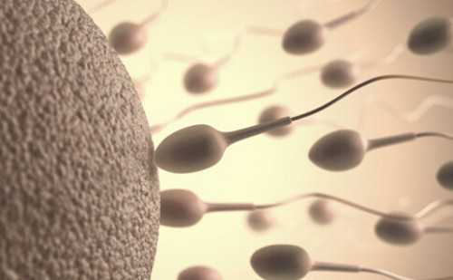 「备孕交流之熬夜对生育的影响」备孕交流之熬夜对生育的影响