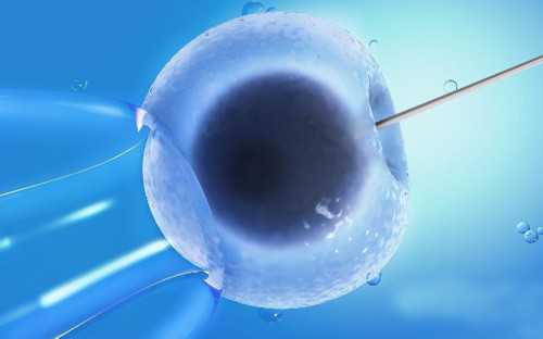 代怀助孕机构-患肺结核还能同房吗?