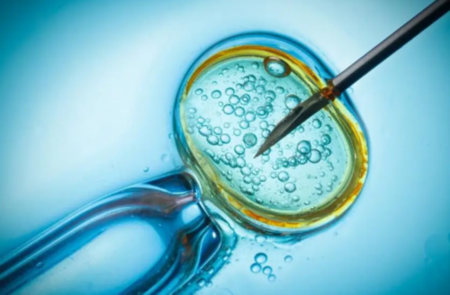 HCG几周开始下降