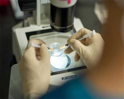 代生包生男孩-补血圣药--当归