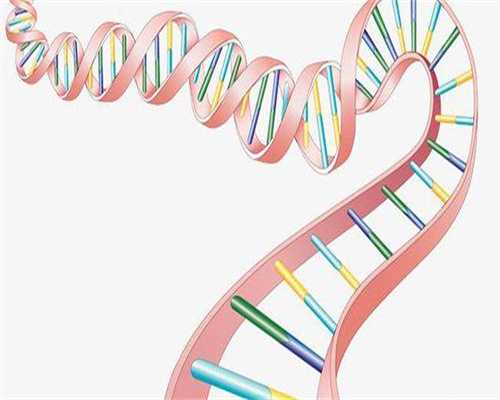 助孕网成功率-孕酮低是什么原因造成的（孕早期黄体酮低）