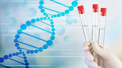 单身试管代生-胃炎能喝当归黄芪党参水吗