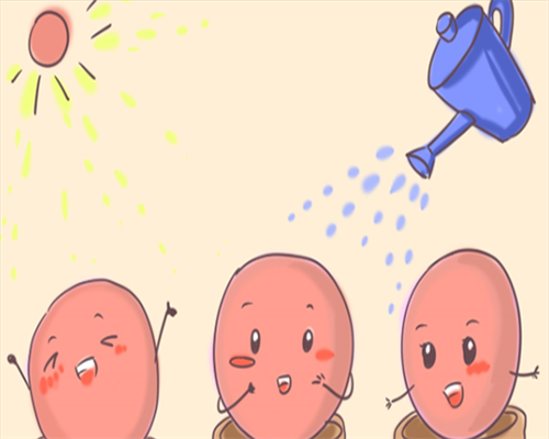 子宫内膜厚影响怀孕不