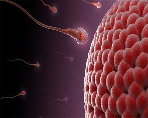 代孕产子服务-备孕期喝咖啡会胎停吗女性