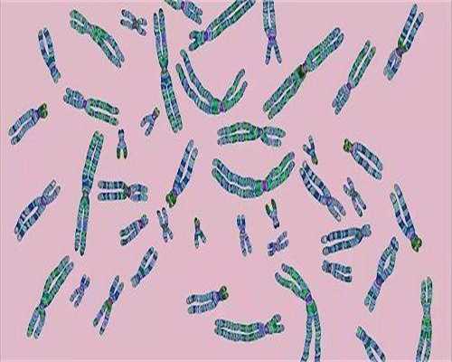 国内试管婴儿最权威的医院排名哪家好？