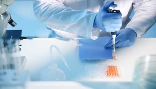 备孕吃这些蔬菜水果生男孩的概率高