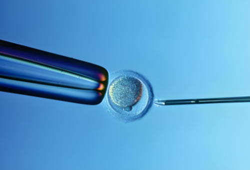 卵泡监测能看出排卵吗