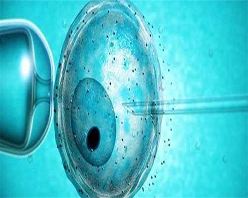 日本试管医生经验分享，试管医生患真实评价分析