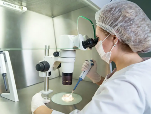 借卵怀孕:32岁卵巢早衰能治愈吗？多个优质卵泡怎么办？