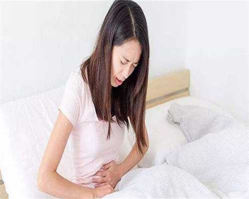 做试管婴儿期间可不可以养宠物