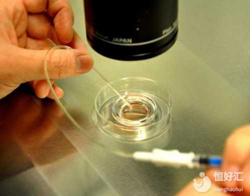 囊胚和冻胚有什么区别(性激素六项和amh区别)